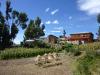 titicaca13
