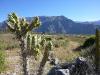 colca11