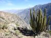 colca18