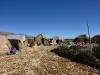 uros03