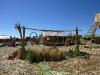 Los Uros