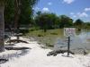 mia01