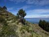 taquile15