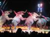 Zirkus Krone, Würzburg 31.10.2008