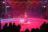 Zirkus Roncalli - Würzburg 2010